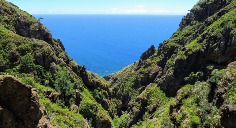 Southwest Madeira Island Tour: Craters of Fire