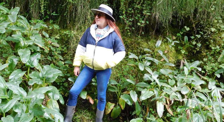 Dreitägige Tour durch Quito: Die Winde des andinen Páramo