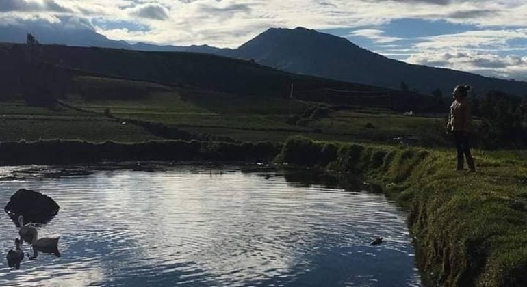 Dreitägige Tour durch Quito: Die Winde des andinen Páramo