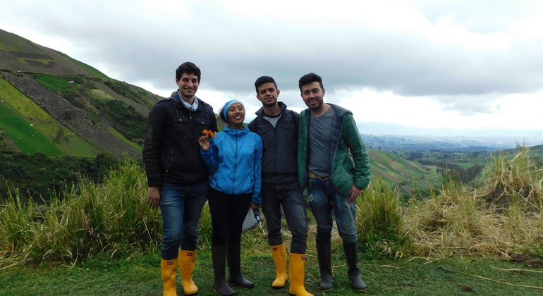 Dreitägige Tour durch Quito: Die Winde des andinen Páramo