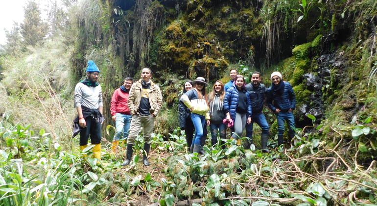 Dreitägige Tour durch Quito: Die Winde des andinen Páramo
