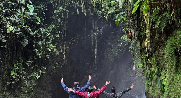 Mindo, un paradis caché : circuit nature et aventure