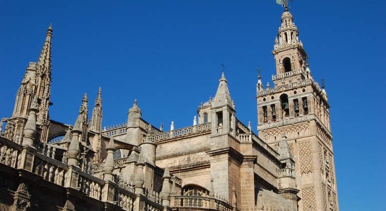 Visita guidata di Siviglia: Alcázar e Cattedrale