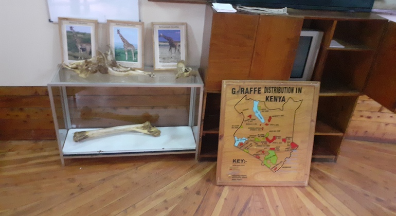 N. N. P., Elefantenwaisenhaus, Giraffenzentrum, Karen Blixen & Bomas Tour