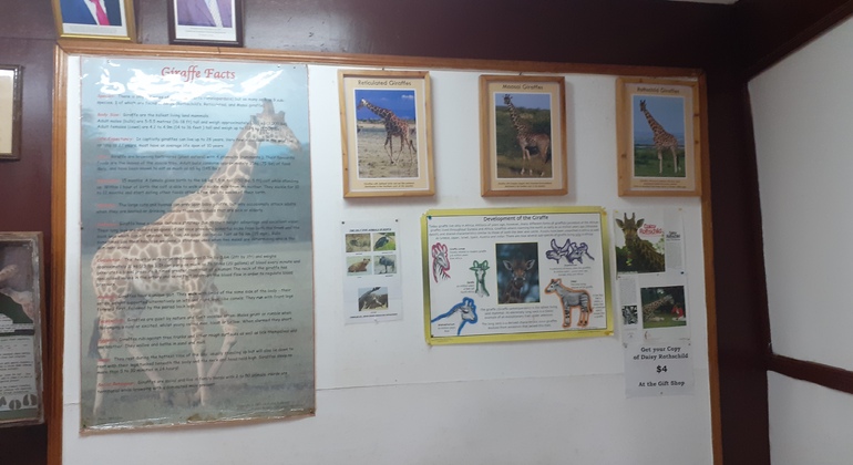 N. N. P., Elefantenwaisenhaus, Giraffenzentrum, Karen Blixen & Bomas Tour