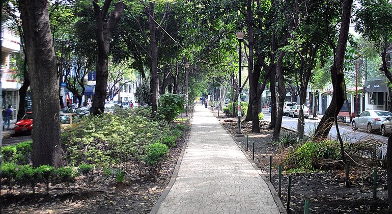 Private History & Food Tour of Condesa & Roma Districts in Mexico City