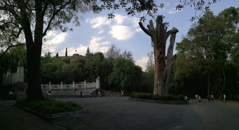 Private Tour of Chapultepec Castle in Mexico City