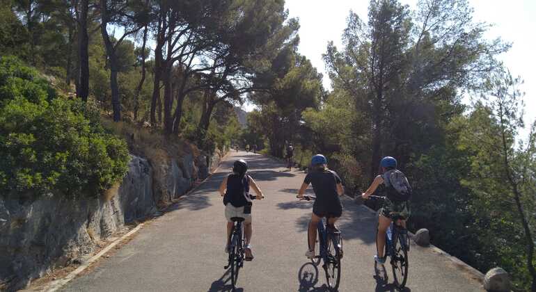 City Bike Tour in Split