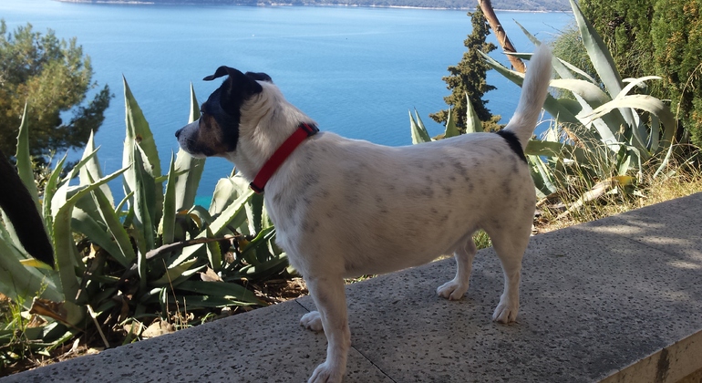 Secret Marjan Hiking Tour