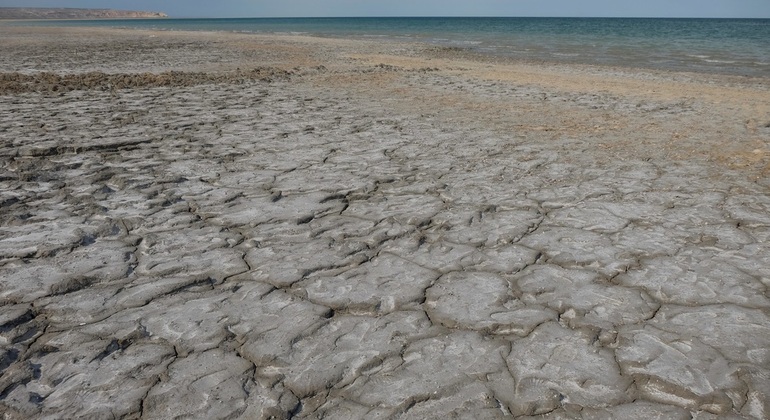 Excursión al Mar de Aral desde Nukus