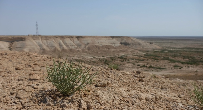 Excursión al Mar de Aral desde Nukus