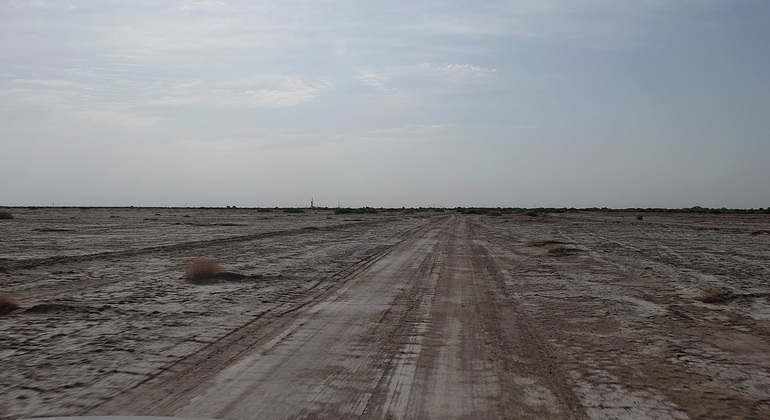 Excursión al Mar de Aral desde Nukus