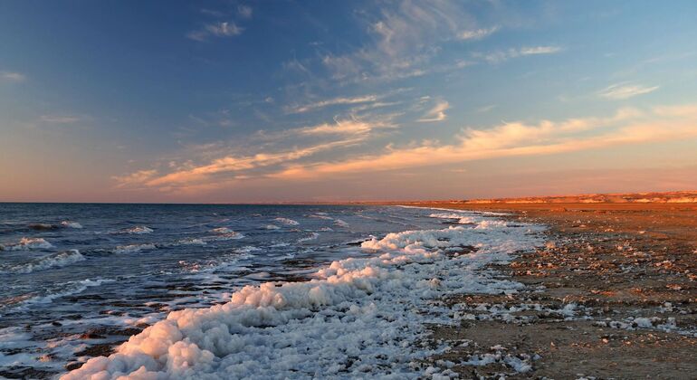 Excursión al Mar de Aral desde Nukus