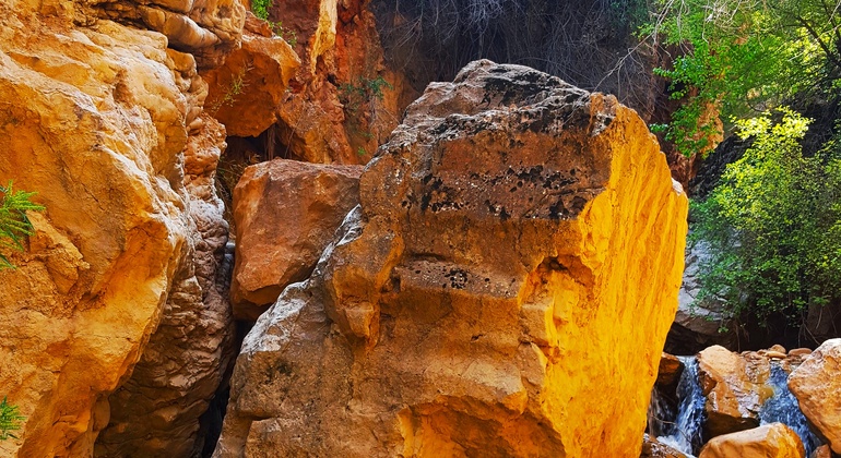 La inexplorada Tashkent: Excursión a Ishakkupriksay
