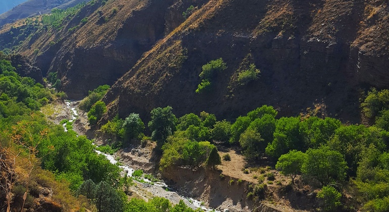 Recorrido por la inexplorada Tashkent: Paltau y Chukuraksu