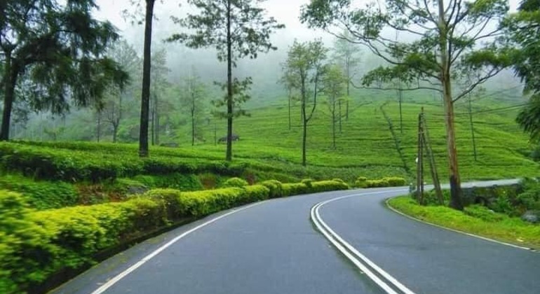 Excursiones de un día desde Kandy a Ambuluwawa y Nuwara Eliya
