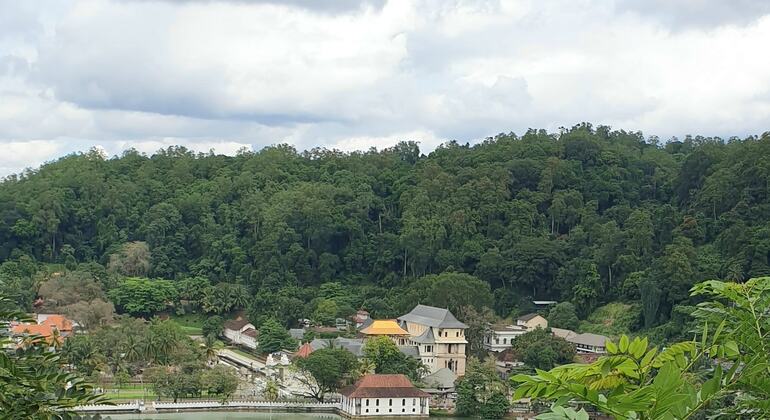 Visita a la ciudad de Kandy y Pinnawala