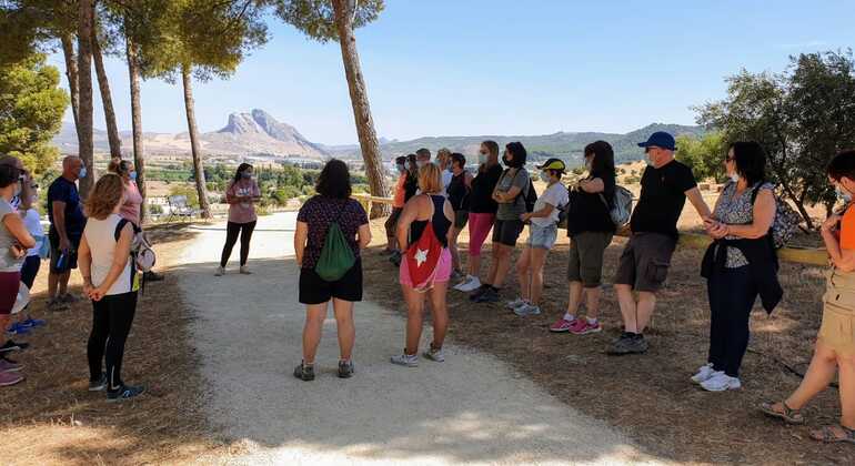 Visita a los Dólmenes Tour