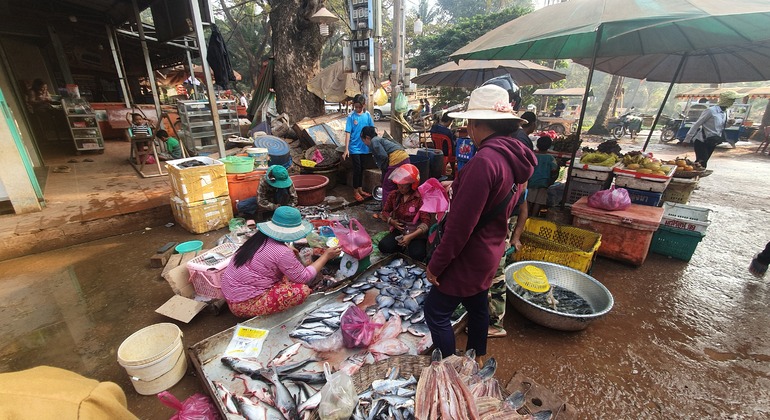 Virtuelle Leben aus Siem Reap Versteckte Juwelen Lokale Kultur Tour
