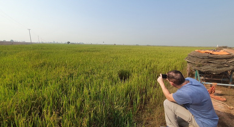 Virtuelle Leben aus Siem Reap Versteckte Juwelen Lokale Kultur Tour