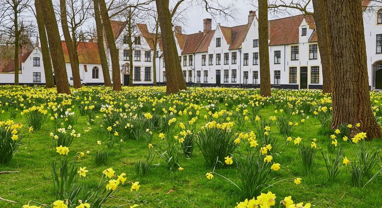 Full Day Guided Tour to Bruges by Train from Brussels