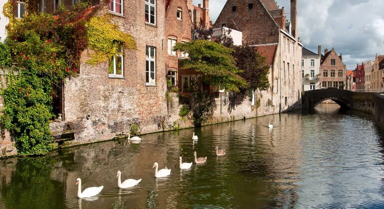 Full Day Guided Tour to Bruges by Train from Brussels