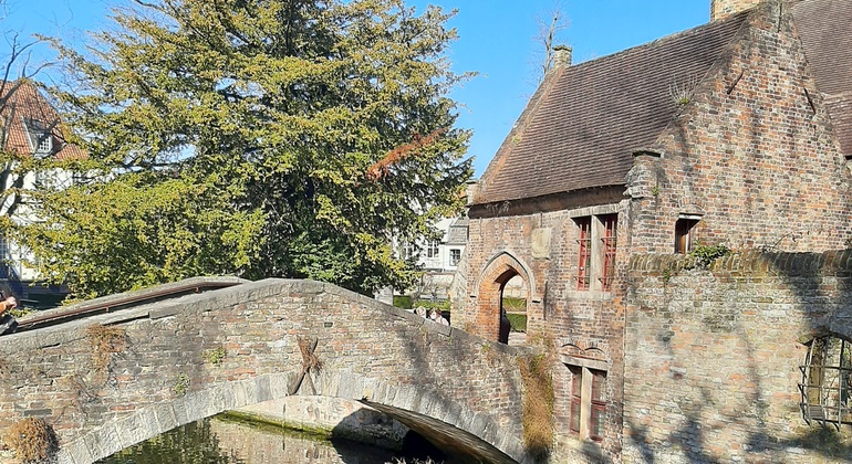 Full Day Guided Tour to Bruges by Train from Brussels