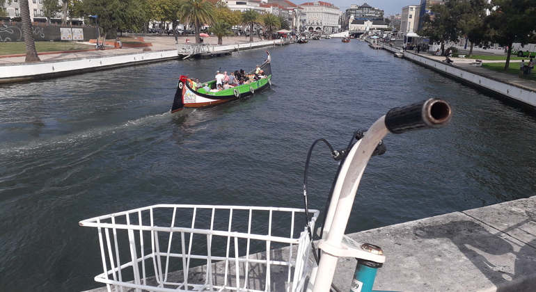 Barco panorámico Moliceiro en Aveiro