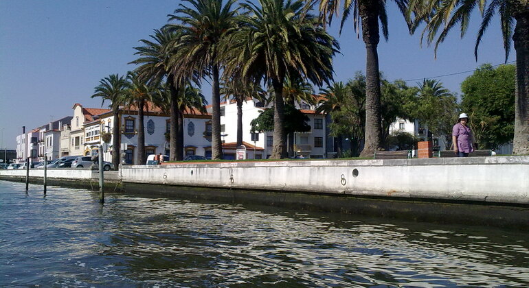 Barco panorámico Moliceiro en Aveiro
