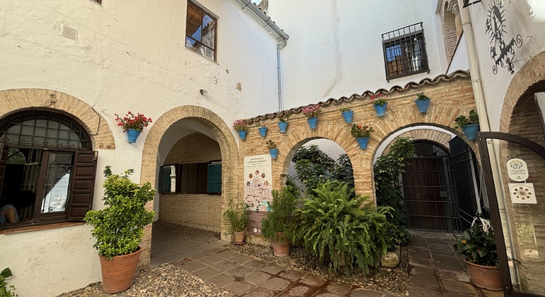 Private Tour Cordoba: Alcazar of Christian Kings & Jewish Quarter