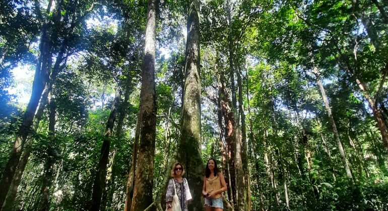 Tijuca Wald Jeep Abenteuer