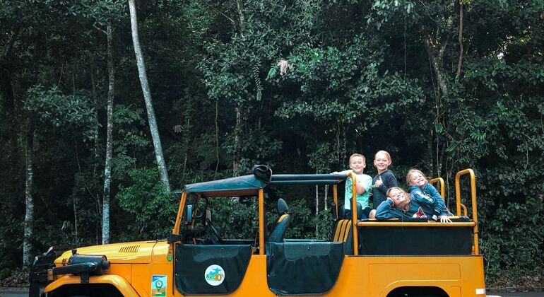 Tijuca Wald Jeep Abenteuer