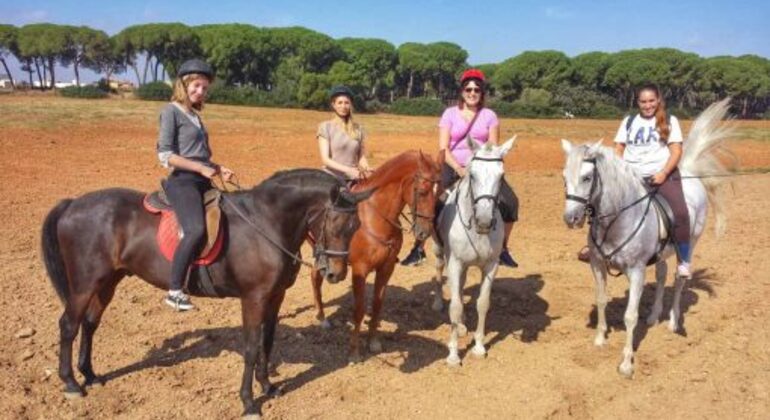 Horse Riding Tour