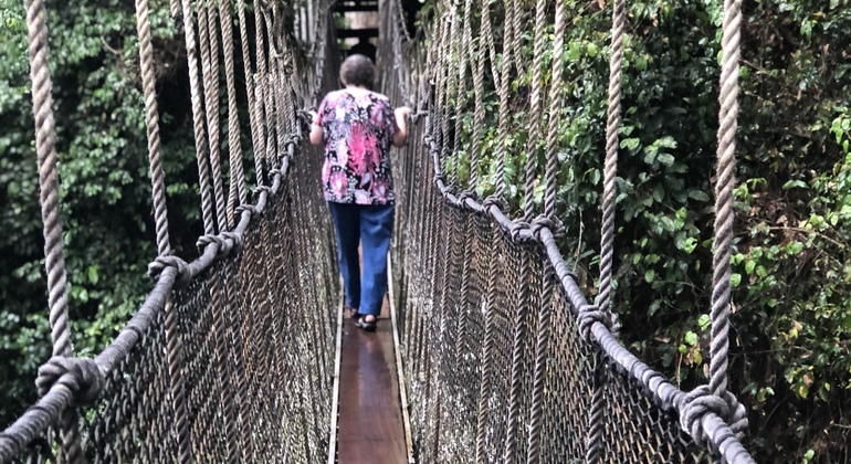 Excursion d'une journée Cape Coast/Kakum