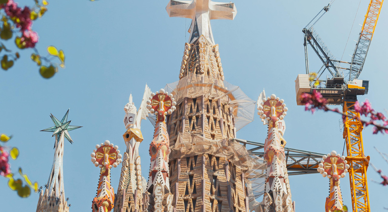 Complete Barcelona Highlights Tour