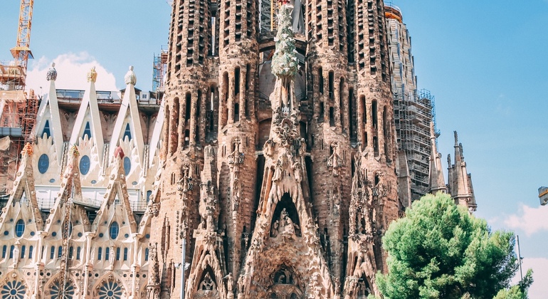 Complete Barcelona Highlights Tour