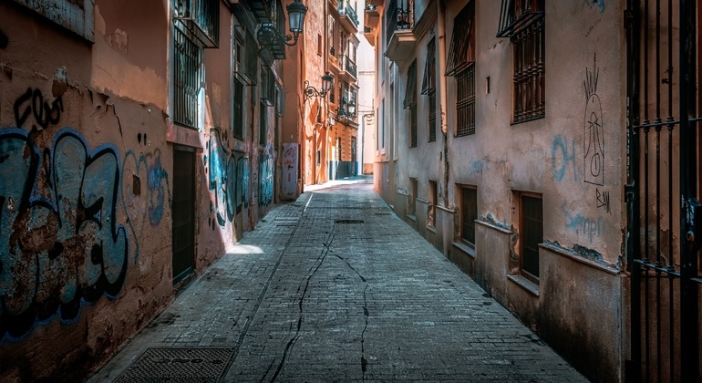Visite à pied privée à Valence