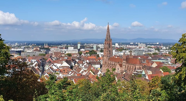 Private Freiburg City Tour