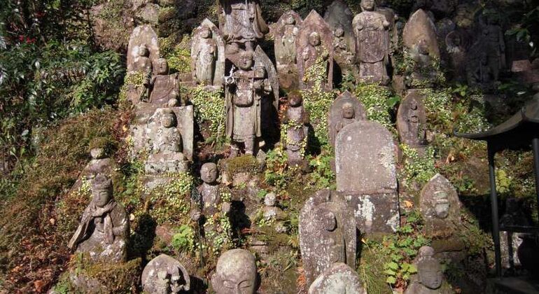 The Big Buddhas Tour in Fukuoka