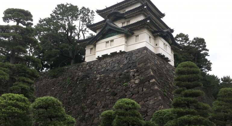 Tokyo Highlights Walking Tour: Asakusa, Ueno, Tsukiji