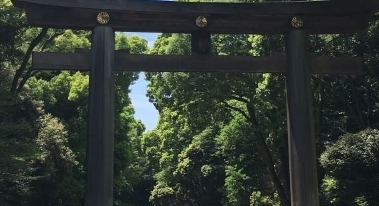 Tokyo Highlights Walking Tour: Asakusa, Ueno, Tsukiji