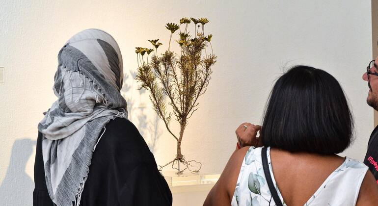 De galería en galería con Thabo