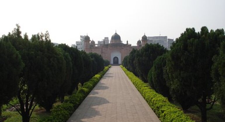 Tour della natura a Dhaka