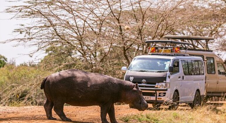 Nairobi Safari Tour