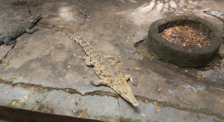 Mombasa & Taita Hills Wandertour