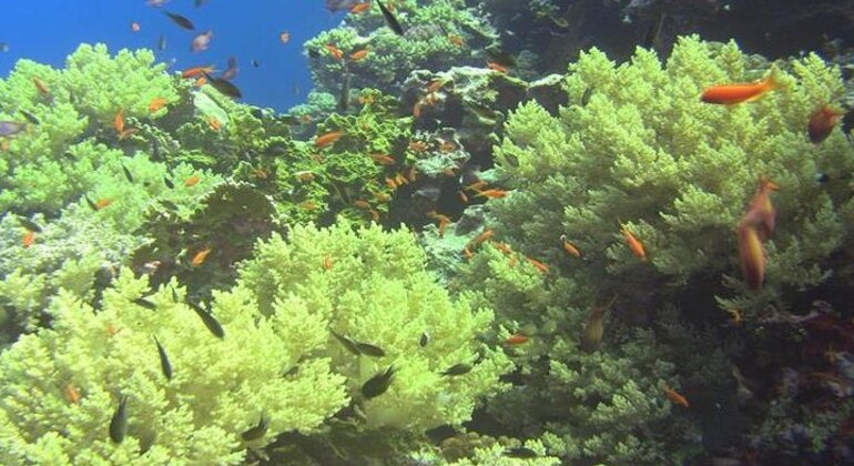 Isla de Orange Bay