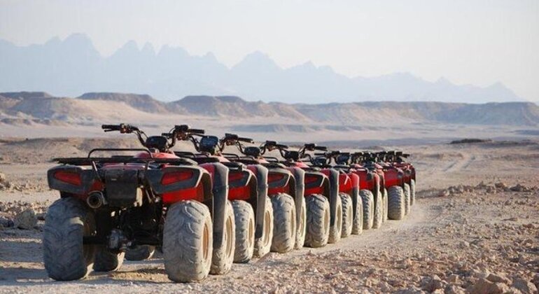 Hurghada Quads