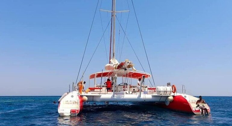 Excursión en catamarán