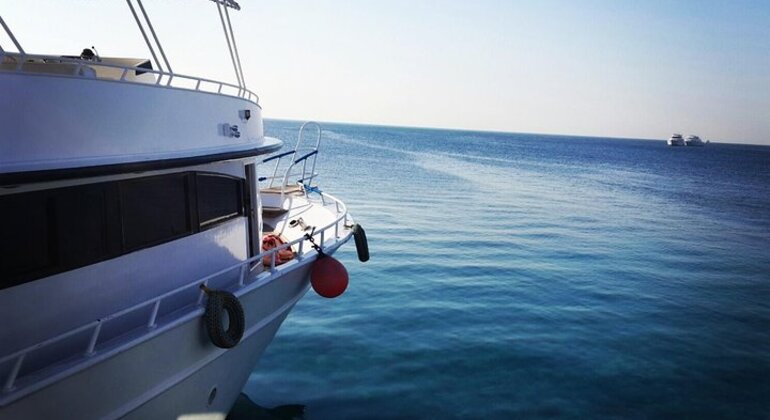 Mundo de los delfines en Hurghada