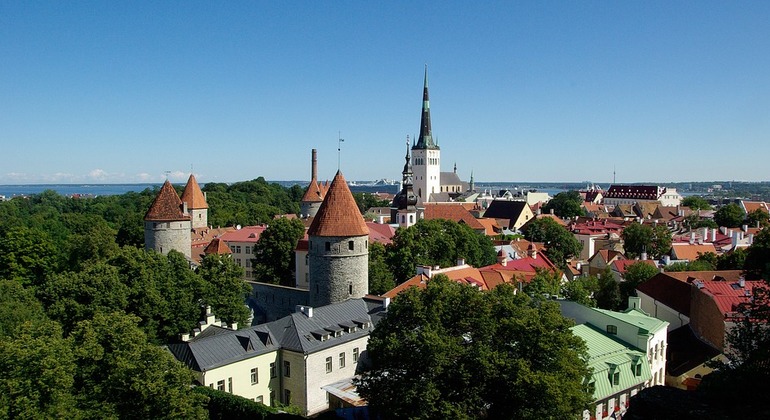Tallinn Legends and Local Market Walking Tour